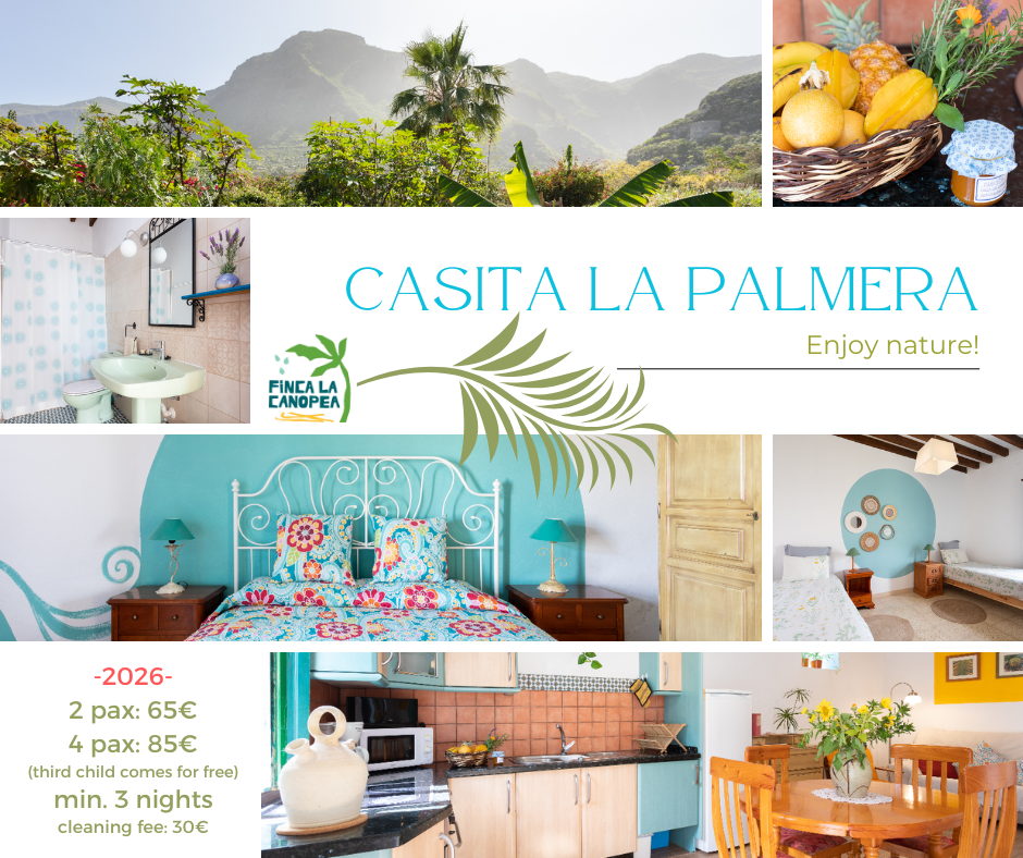 Casita La Palmera, your holiday house in Tenerife